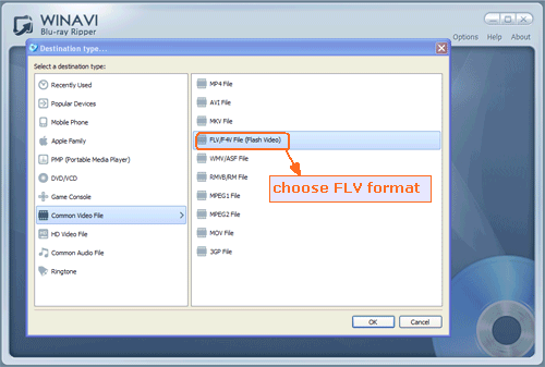 load bluray folder file to rip bluray to flash flv video format - screenshot