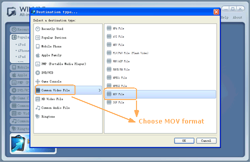 input DVD files for dvd to mov conversion - screenshot