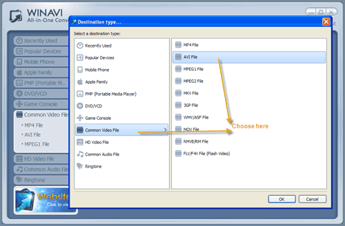 WinAVI All-In-One Video Converter import mp4 files to convert avi - screenshot