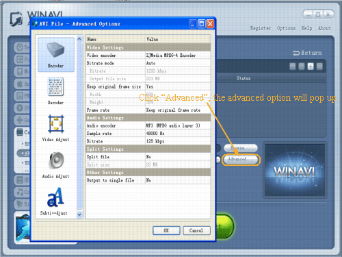 wmv to avi conversion advanced settings - screenshot