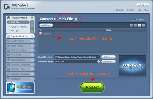 WinAVI All-In-One Video convert youtube flv to mp3 - screenshot