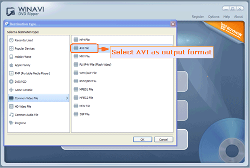 input DVD file to rip and convert to avi - screenshot