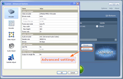 set advanced settings to convert dvd to ipad - screenshot