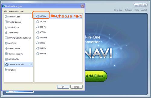  Input FLV file and convert FLV to MP3 format -screenshot