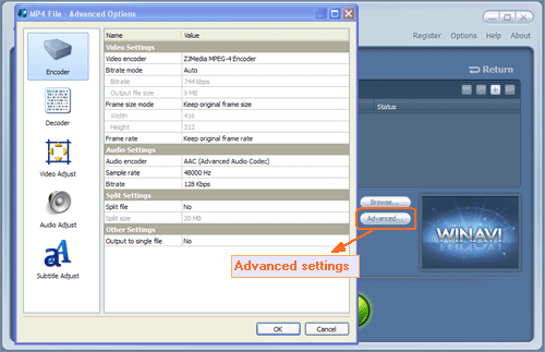 Do advanced settings for flv to mp4 conversion - screenshot