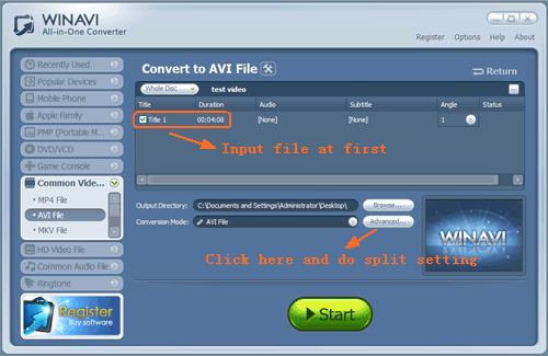 Input files into WinAVI program - screenshot