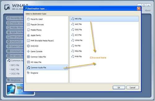 WinAVI All-In-One Video Converter import youtube flv files to convert mp3- screenshot
